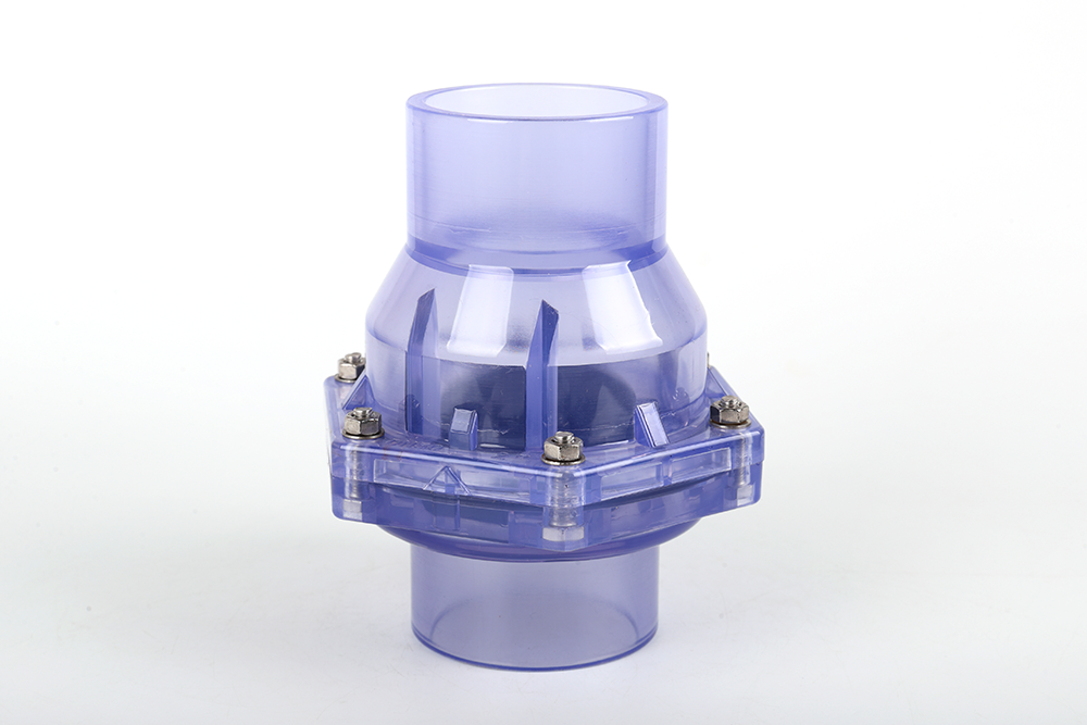 科尔沁透明翻板式止回阀